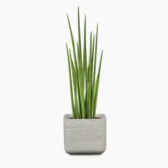 Ceramic flower pot Scheurich 989/20 COVER-POT WASHED STONE