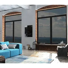 Static window film Delfa TM5-BC/S45 black 45x150 cm