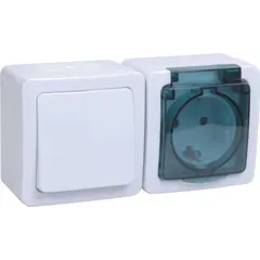 Выключатель с розеткой IEK БГб-22-31-ГПБд IP54