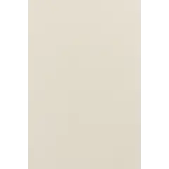 Curtain Delfa Termo Blackout SRSH-01M-7900 72(68)/170 cm white