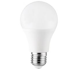 LED Lamp LINUS 6500K 5W 220-240V E27