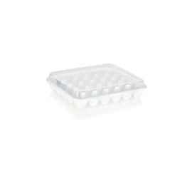 Container for storing eggs plastic PLAST ART yu-130 section 30