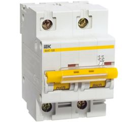Circuit breaker IEK ВА47-100 10kA 100A 2P C