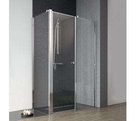 Shower door D20 100х190 cm 5 mm