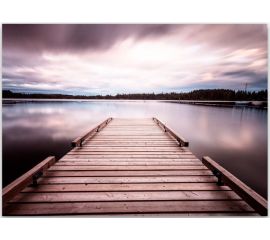 Glass picture Styler Violet Jetty GL385 70X100 cm