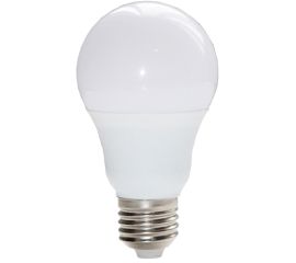 LED Lamp Linus 7W E27 4000K
