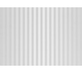 Panel PVC VOX Profile Vilo D Silver Lines 25х265 cm
