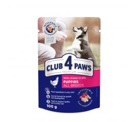 Jelly 4 Paws puppy with chicken meat 0,1 kg