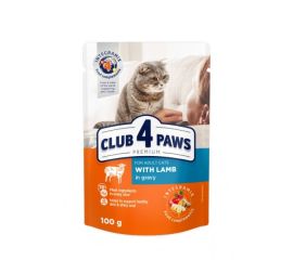 Jelly 4 Paws for cats with lamb meat 0.1 kg