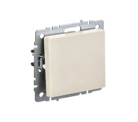 Switch pass-through without frame IEK BRITE 1 10A VS10-1-6-BrB