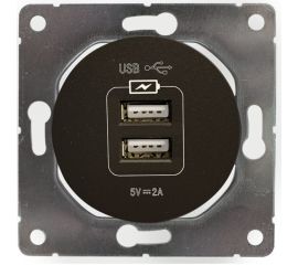 USB розетка DPM Soul SEU1028B 2 местная черная