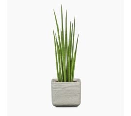 Ceramic flower pot Scheurich 989/20 COVER-POT WASHED STONE