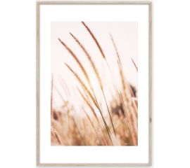 Картина в рамке Styler Grasses AB078 50X70 см