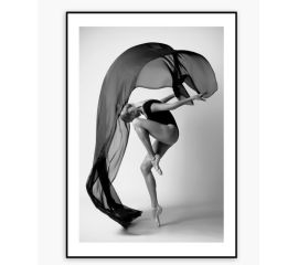 Picture in frame Styler AB238 DANCER 50X70