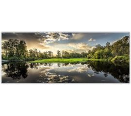 Glass picture Styler Nature EX210 50X125 cm