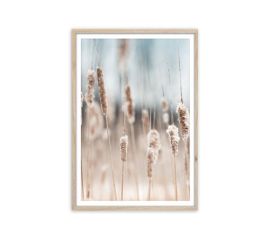 Picture in a frame Styler FP056 GRASS 50X70