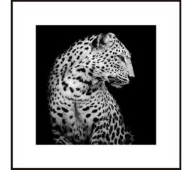 Picture in a frame Styler AB126 LEOPARD 50X50