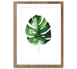 Picture in frame Styler Wooden Monstera FR279 30X40 cm