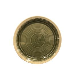 Ceramic plate 42