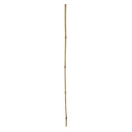 Decorative bamboo 75 cm