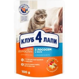 Jelly 4 Paws cat with salmon meat 0,1 kg