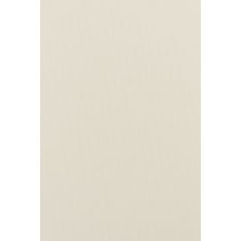 Curtain Delfa Termo Blackout SRSH-03-7900 160/170 cm white