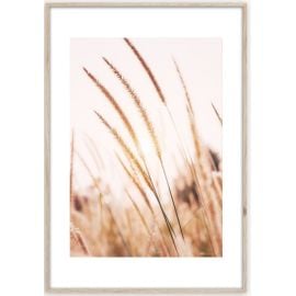 Картина в рамке Styler Grasses AB078 50X70 см