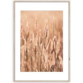 Picture in frame Styler Grasses II AB079 50X70 cm