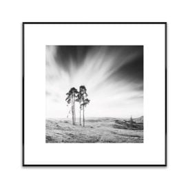 Picture in a frame Styler AB088 TREES 50X50