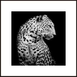 Picture in a frame Styler AB126 LEOPARD 50X50