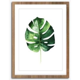 Picture in frame Styler Wooden Monstera FR279 30X40 cm