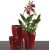 Горшок керамический для орхидей Scheurich 608/13 DARK RED