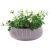Flower pot Keter Cozies L 54 cm lilac