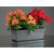 Stand under the pot FORM PLASTIC 0395-014 Gala Box 60 anthracite