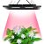 Lamp for plants CF-UT02 200W IP67