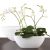 Ceramic pot for orchids Scheurich 430/30 PANNA