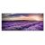 A picture on glass Styler LAVENDER FIELD EX372 50X125