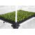 Tent for plants Garden HighPro Probox Propagator L 60x40x200 cm