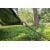 Брезент камуфляжный Bradas CAMOforest 4x6м 90г/м²