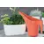 Watering can FORM PLASTIC Aruba 3200-056 melon 1.2 l