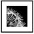 Picture in frame Styler Dandel 2 AB008 50X50 cm
