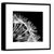 Picture in frame Styler Dandel 2 AB008 50X50 cm