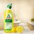 Cleaner for toilet Frosch lemon 750 ml