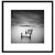 Picture in frame Styler Jetty 1 AB001 50X50 cm