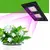 Светильник для растений CF-UT02 200W IP67