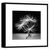 Picture in frame Styler Dandel 1 AB007 50X50 cm