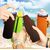 Bottle thermo bag Boyscout 0.5 l