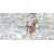 კერამოგრანიტი Italica speranza gold light polished 75x150