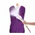 Garment steamer Philips GC617/60 2200W