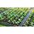 Plastic cassette Decoplant 700μm 32 cells